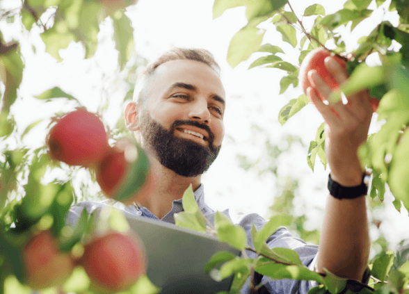 Grossiste Fruits et Légumes IKA FRAICHEUR Île-de-France