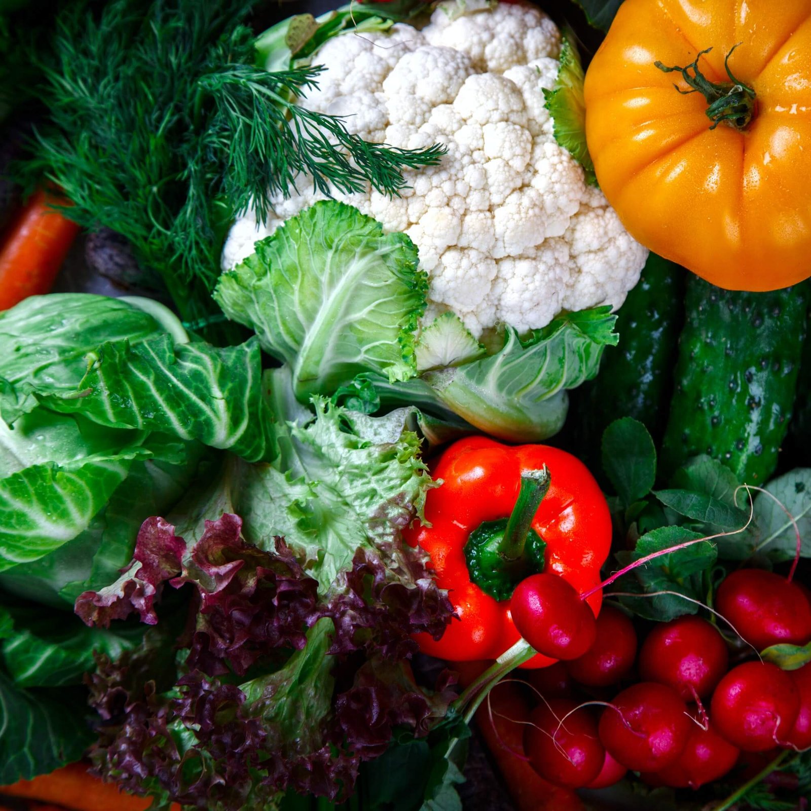 Grossiste Fruits et Légumes IKA FRAICHEUR
