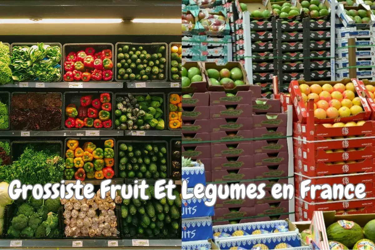Grossiste Fruit Et Legumes en france